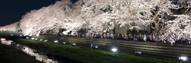 ishiharacorp's profile banner image