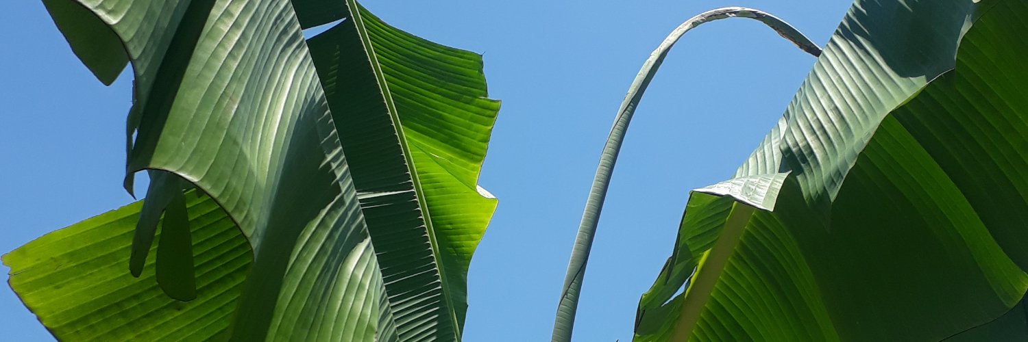 jeromeduchange's profile banner image