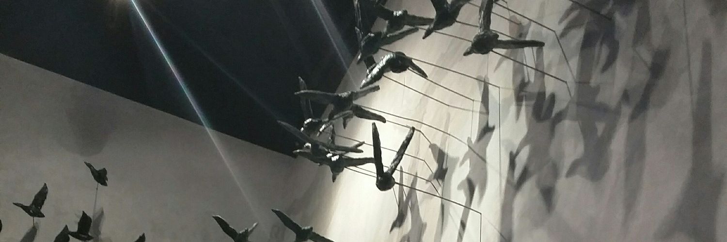 Shselli's profile banner image