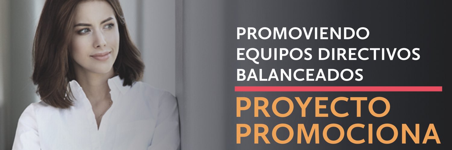 Promociona Chile banner