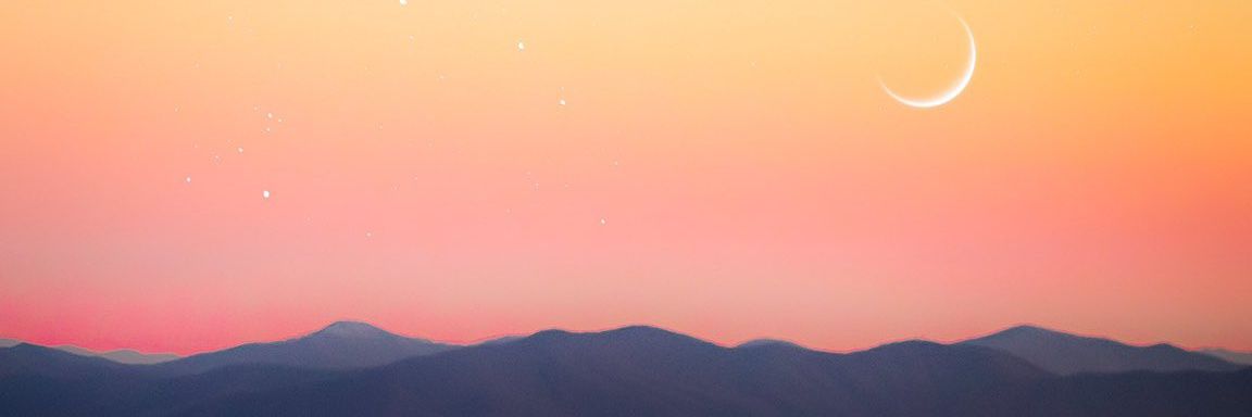 Pfgank's profile banner image