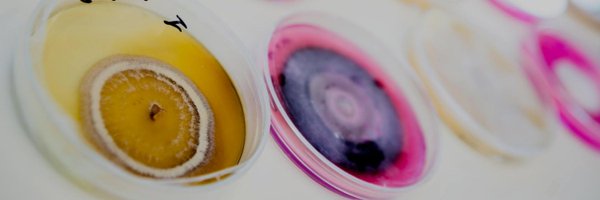 valgenetics Profile Banner