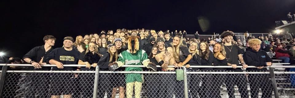 Mustangs banner