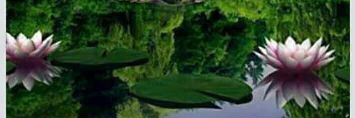 ShweYaung4's profile banner image