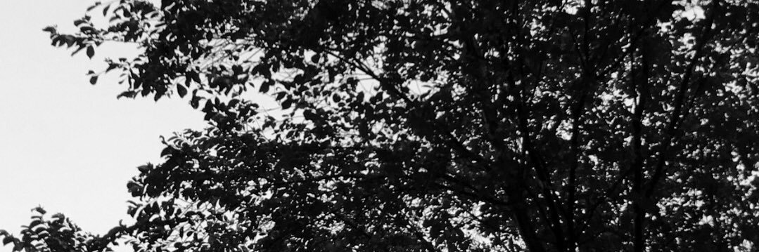 EraseMe__'s profile banner image