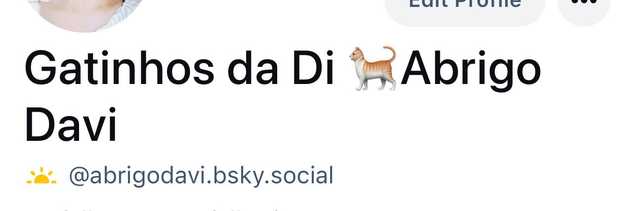 Gatinhos da Di 🐈 Abrigo Davi's banner