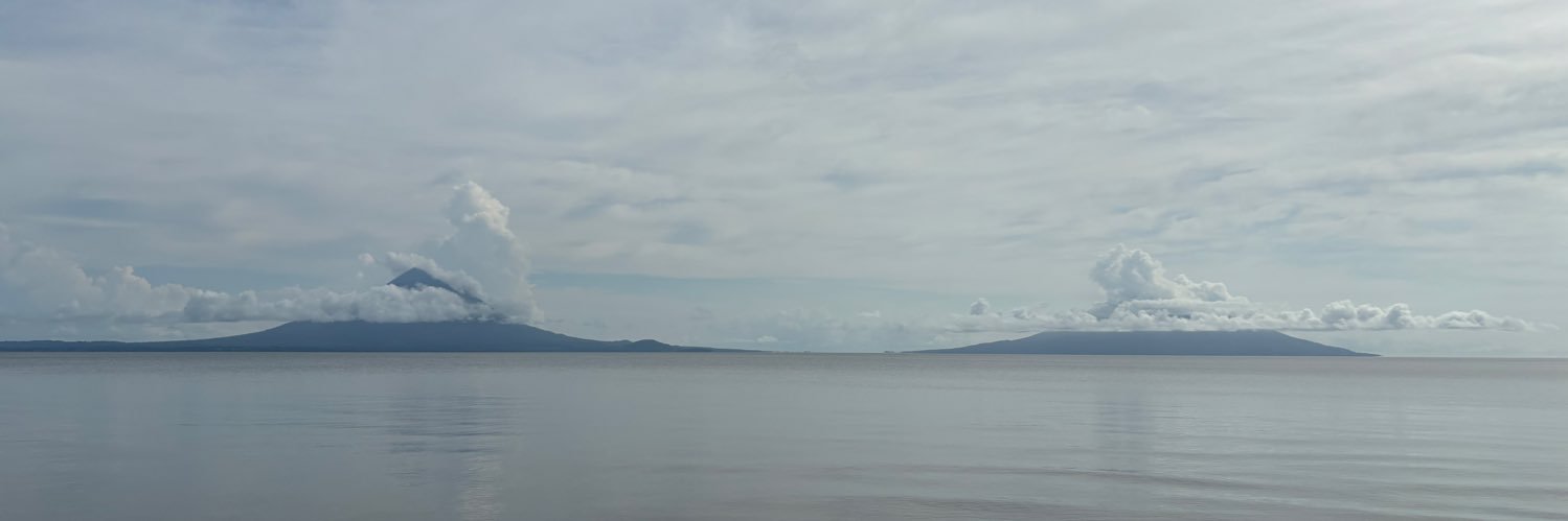 jesalise's profile banner image