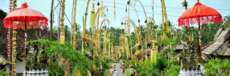 sriancaputu's profile banner image