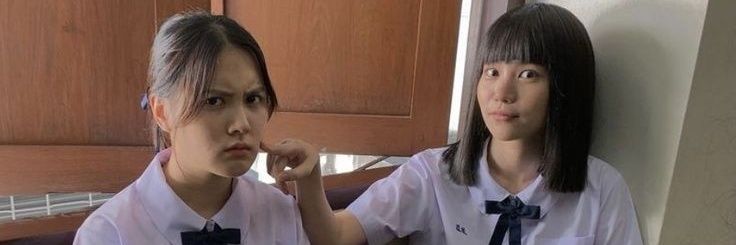 Capt. Fantastic banner