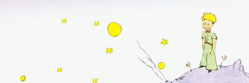 charlottesweb_2's profile banner image