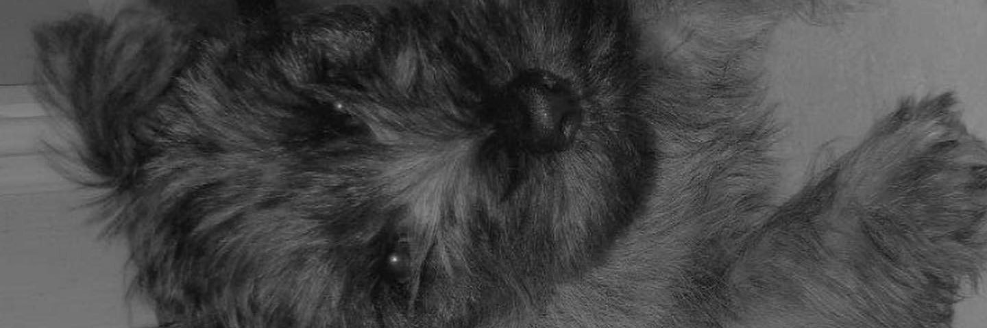 BennBuh's profile banner image