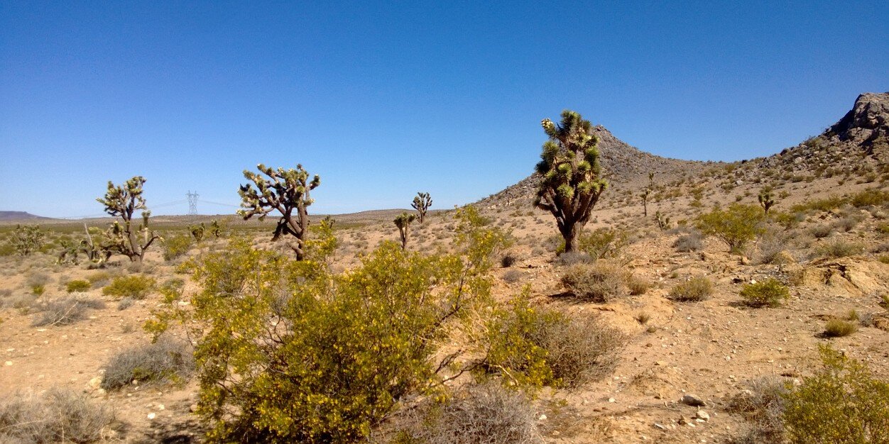 Aston Martin Reyes banner