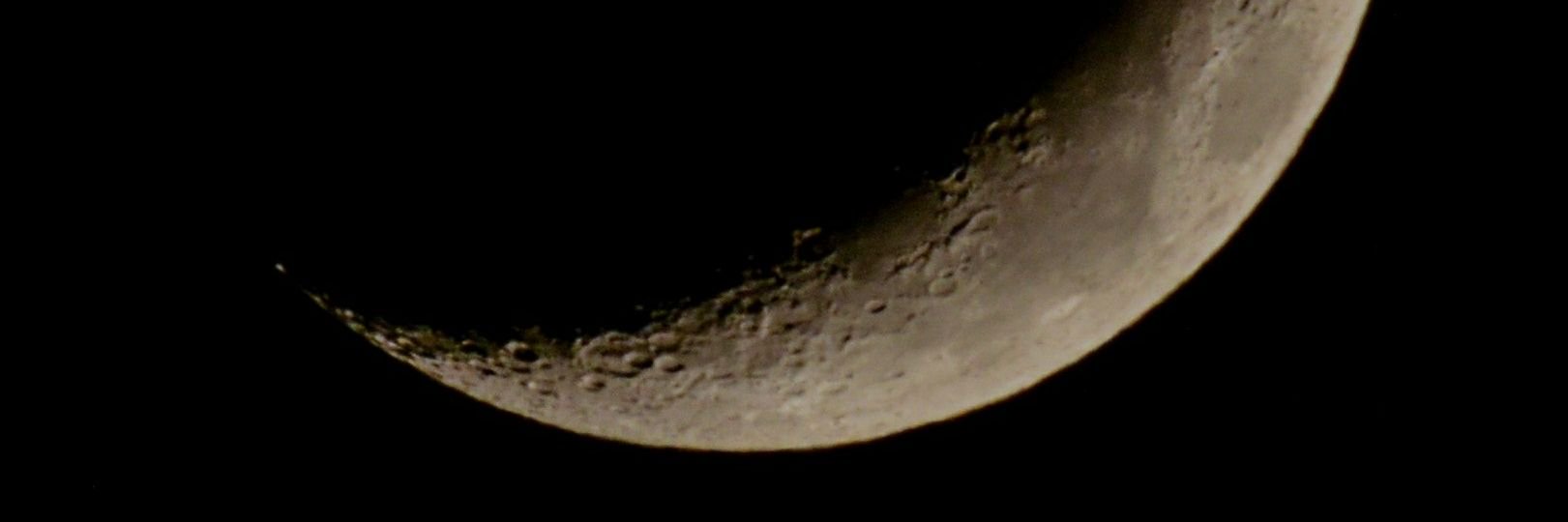 Proper dinosaur name banner