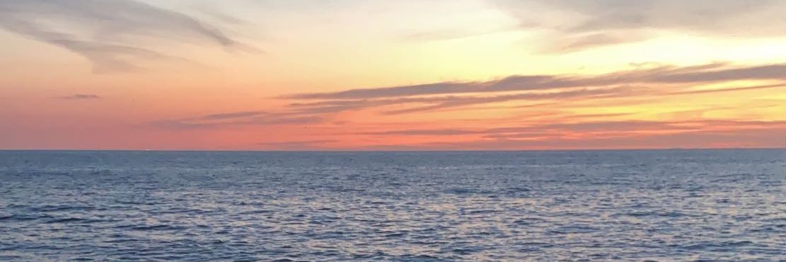 EvaLewin5's profile banner image