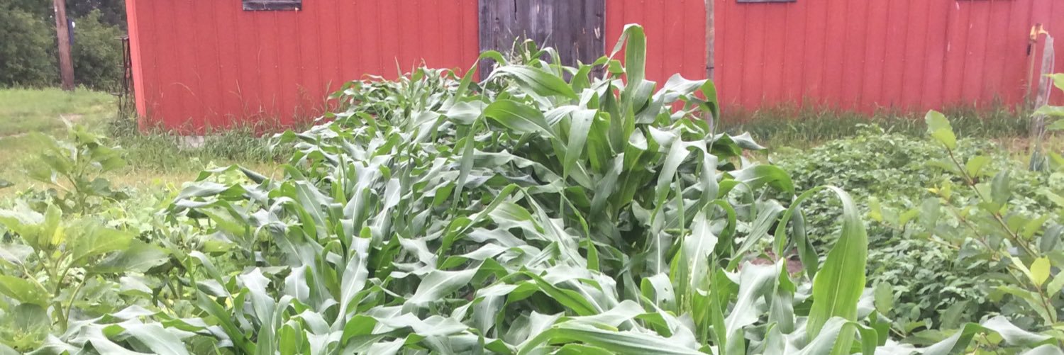 Mitchell Blyth banner