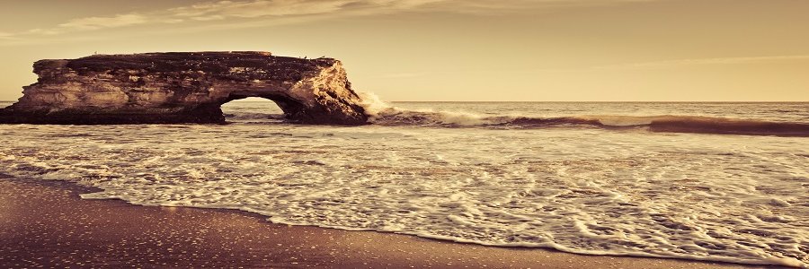 Veronica Neale banner