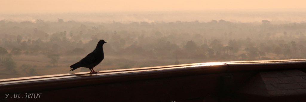 bobo25ster's profile banner image