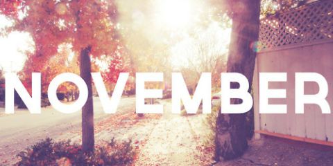 AnneBerbee1's profile banner image
