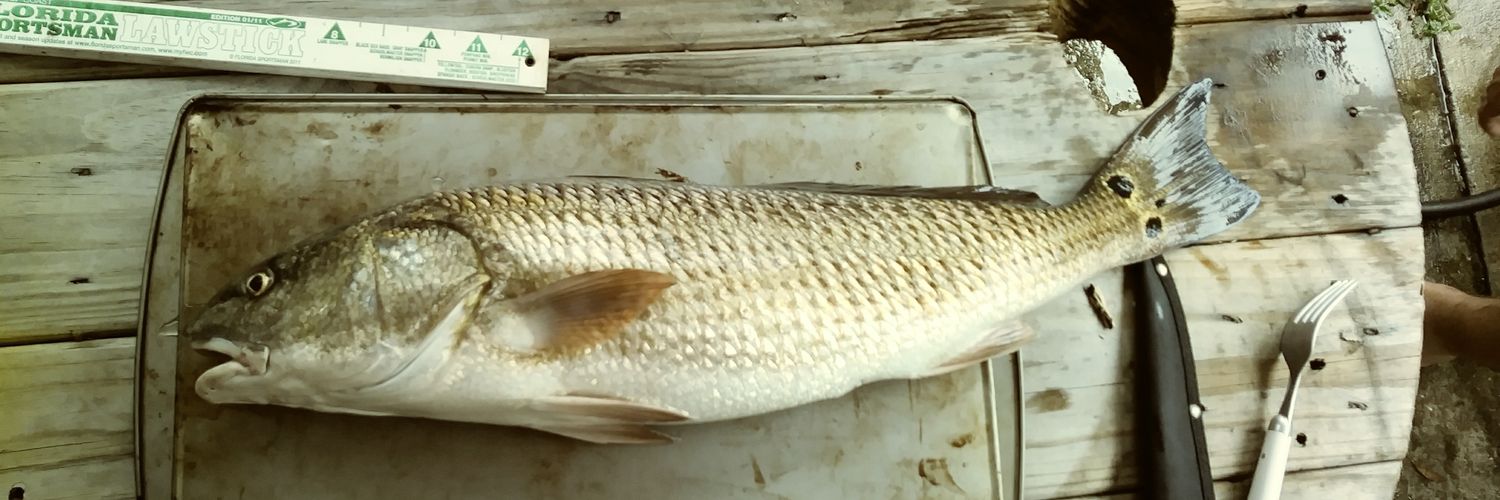 Start Investing Daily banner