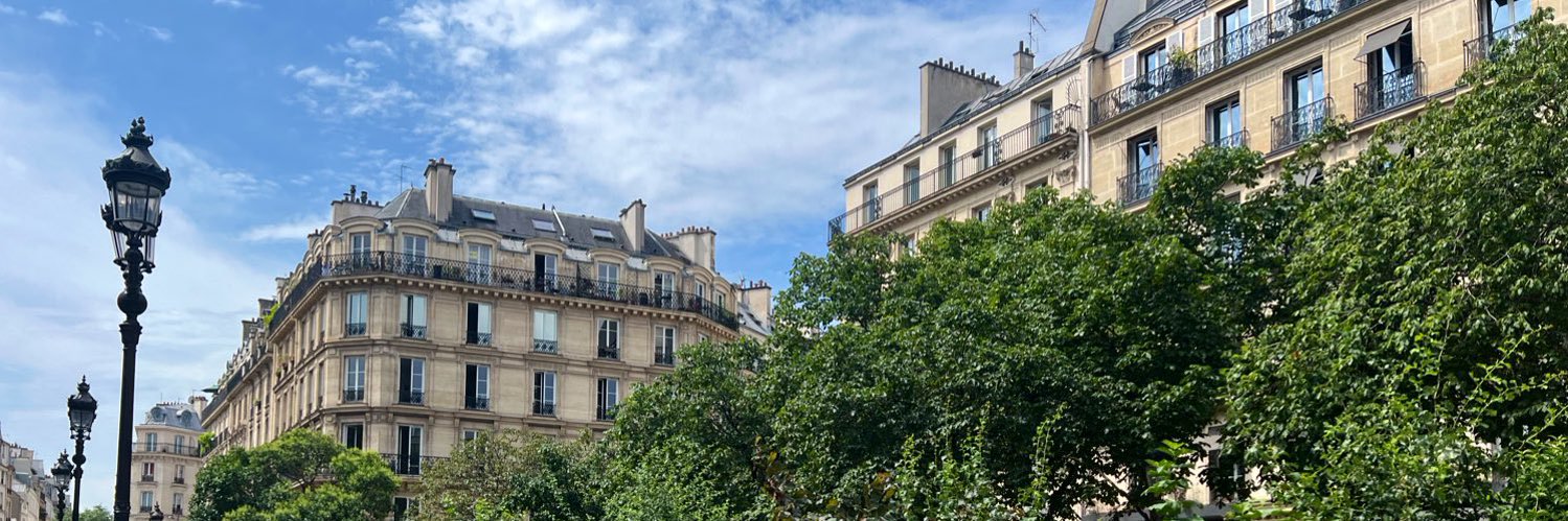 🇫🇷 Sofia Alansari banner