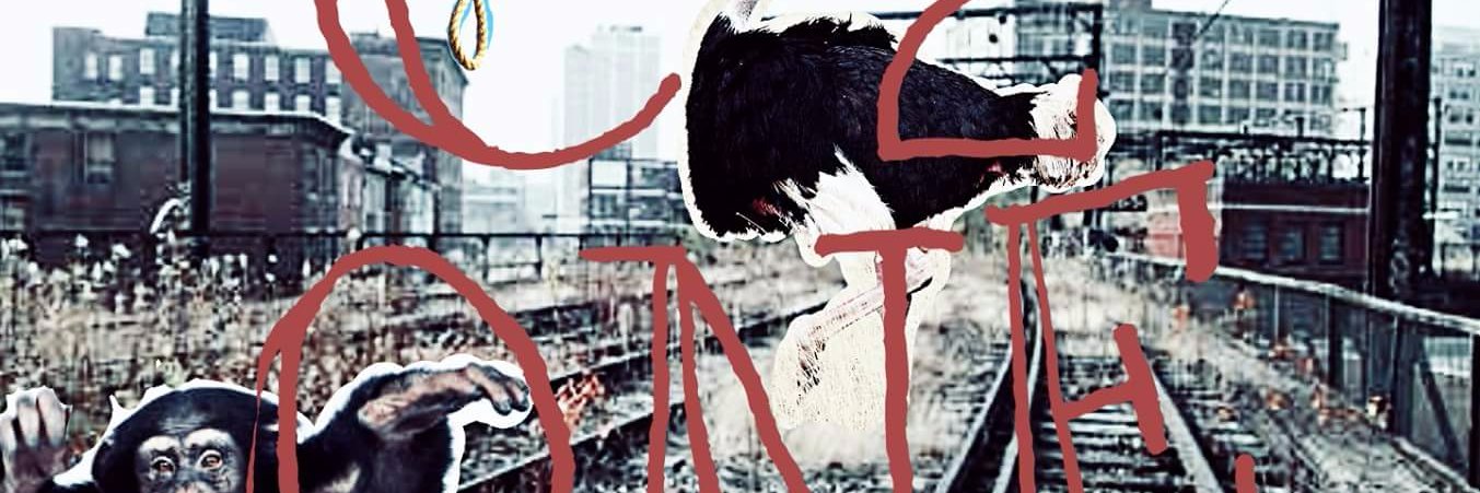 complimentstotheone banner