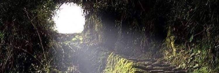 Truth on Toast banner