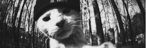 jenuine8's profile banner image