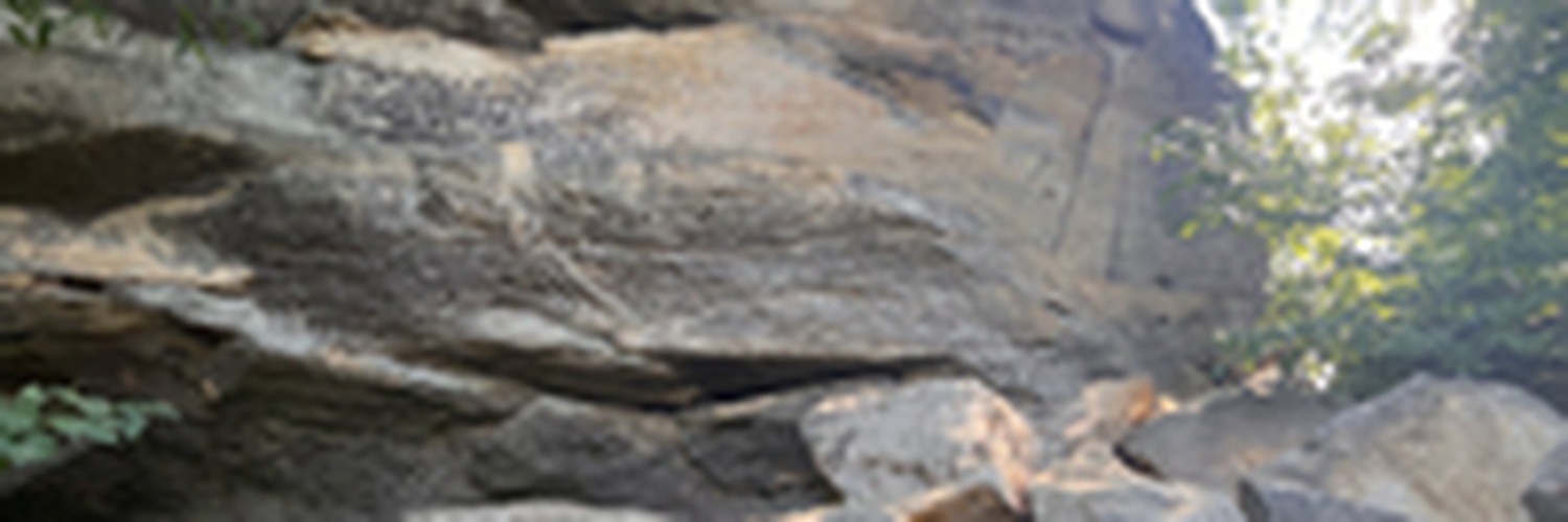 cacrsonblake's profile banner image
