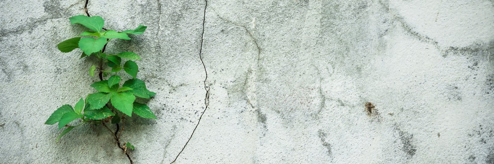 defypartners's profile banner image