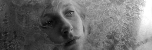 lancelot_dy Profile Banner