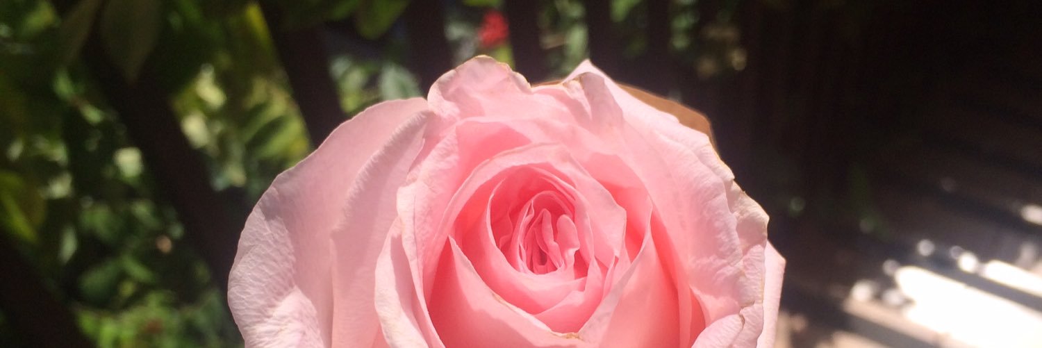 Steffm96's profile banner image