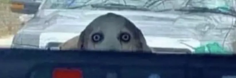 dunntoh banner