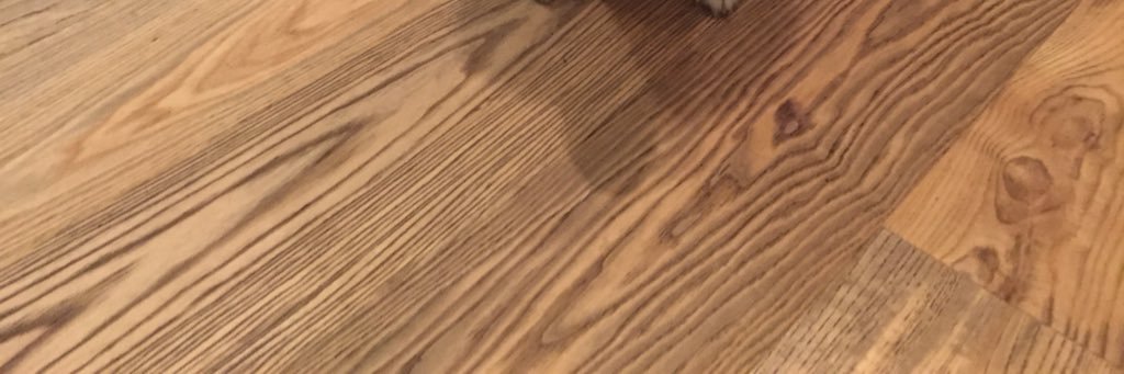 jjj banner