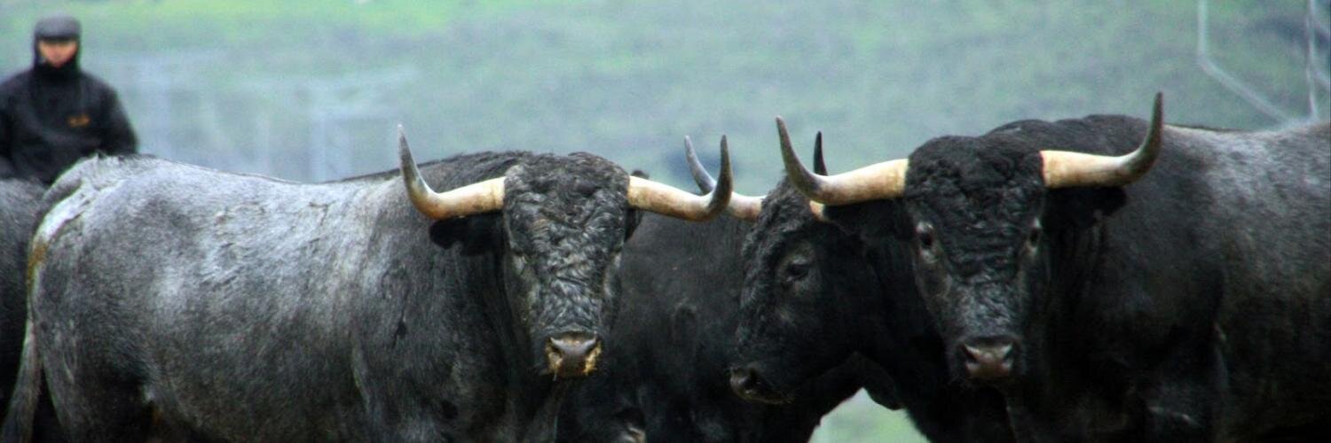 Sin Toro Nada banner