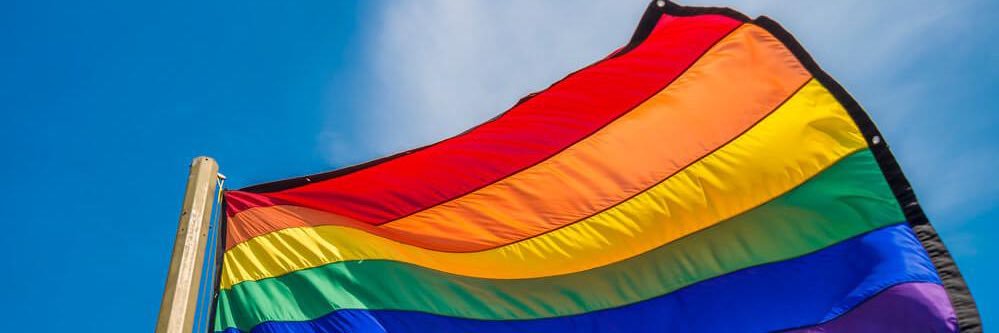Emma Brand - YA LGBTQIA Author is agented 🌈📚 banner