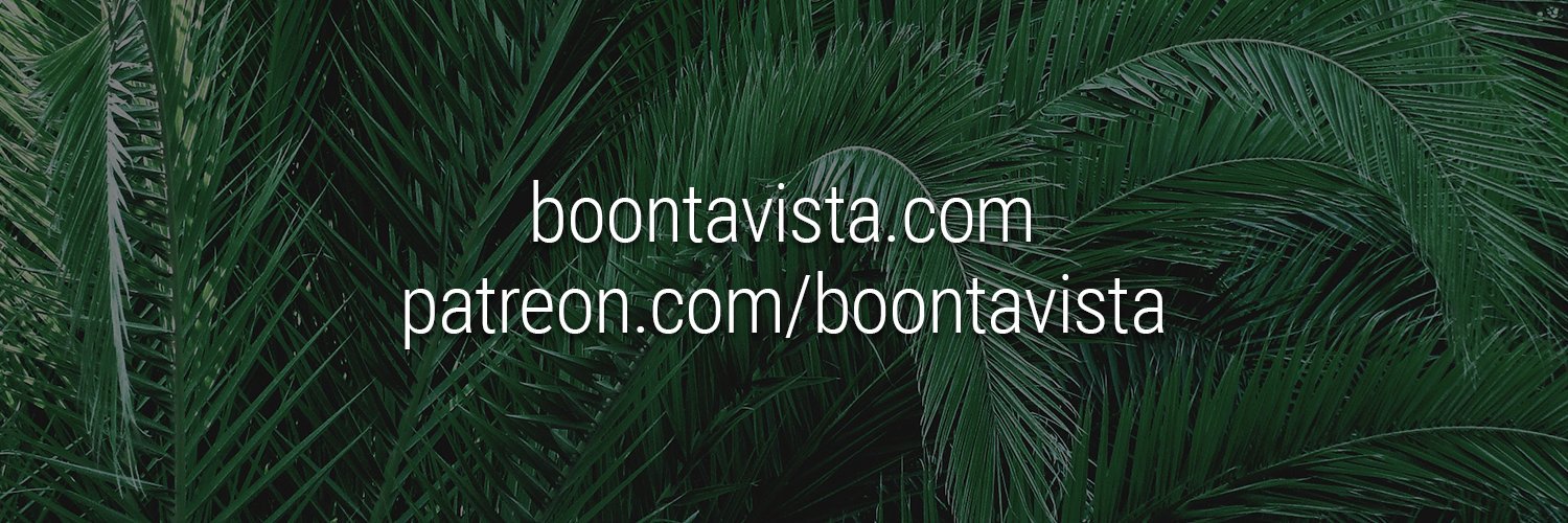 Boonta Vista 🌴's banner