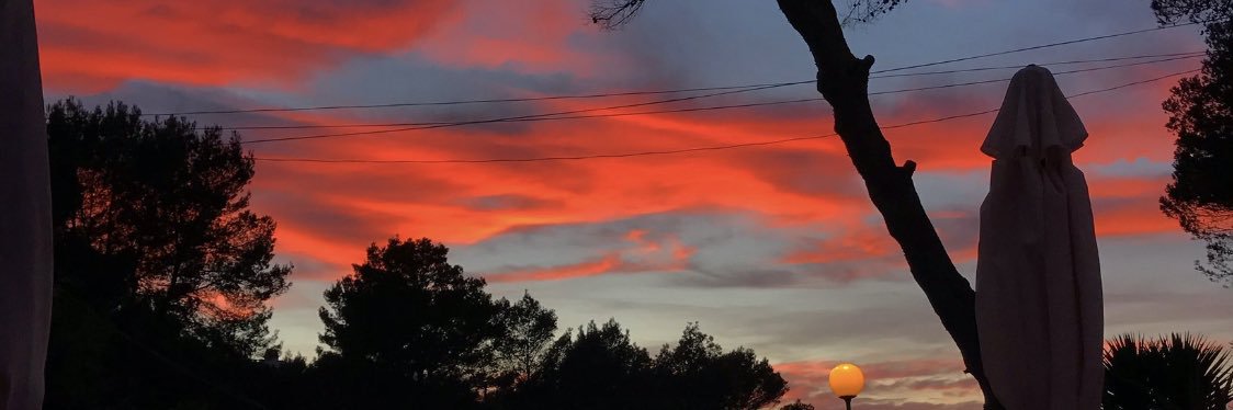 Harrisonwilk11's profile banner image