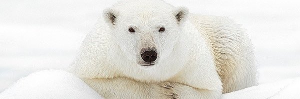 CharlesBullar's profile banner image