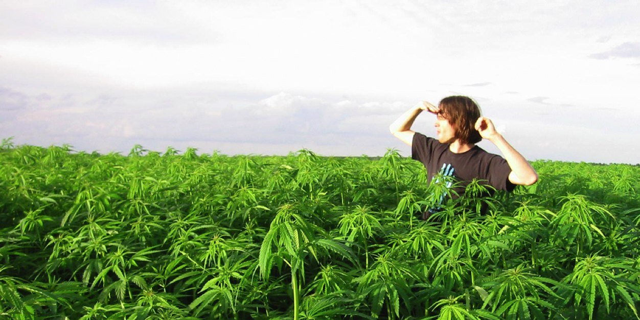 LinkeSammy's profile banner image
