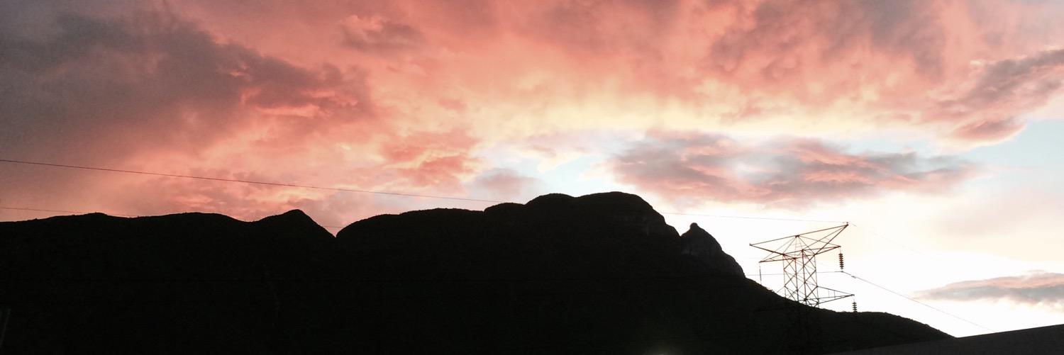 Jenny Suarez banner