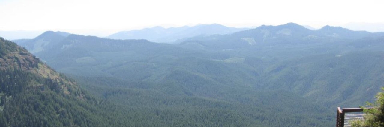 Trina Lee banner