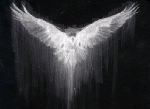 Lavidicus_'s profile banner image