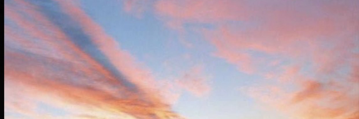 LeaJrgensen's profile banner image