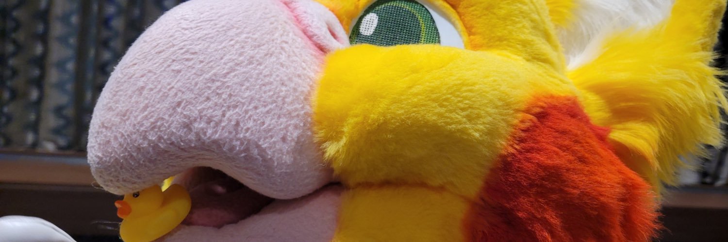 mareebirb's profile banner image