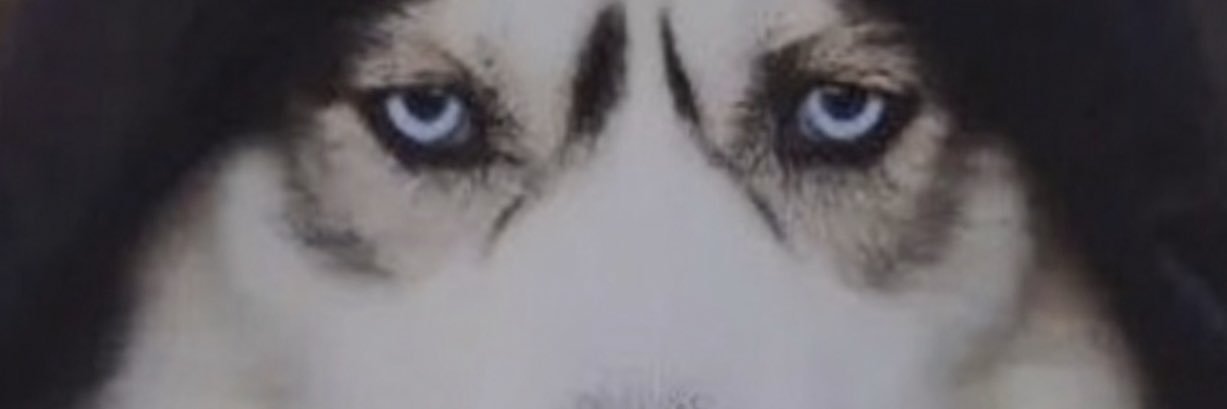hkn0209's profile banner image
