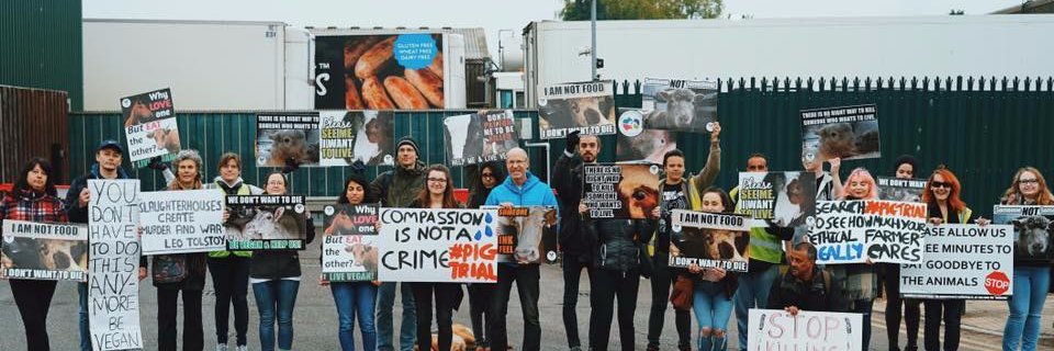 GfordAnimalSave's profile banner image