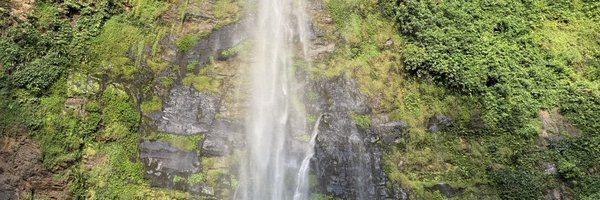 theboy_DM Profile Banner