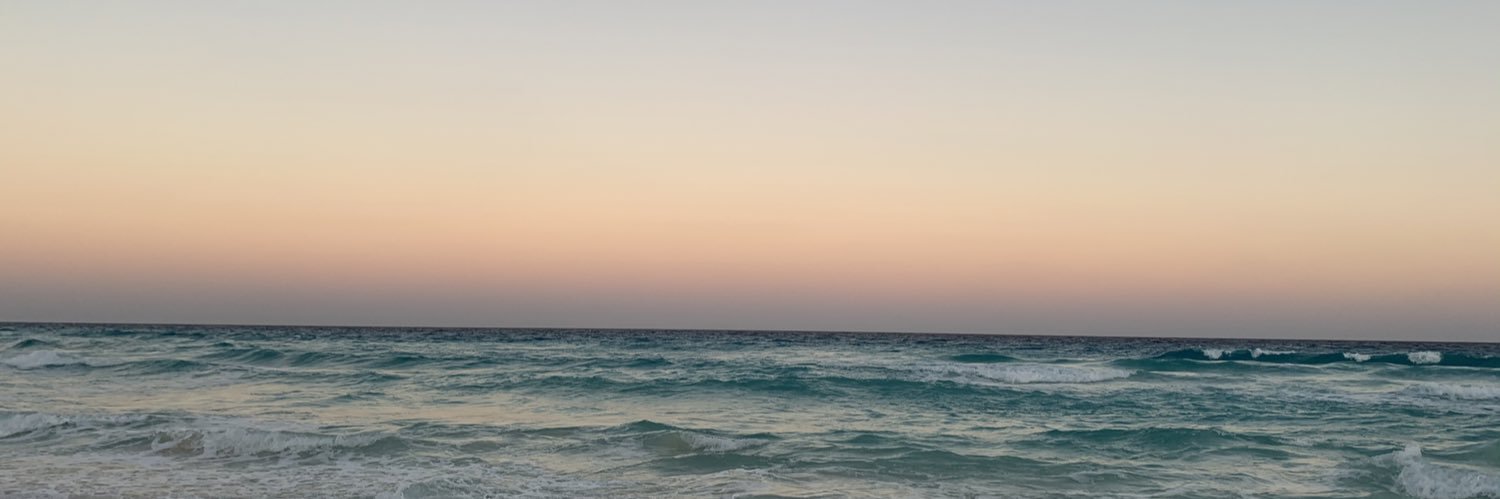 danycancino's profile banner image