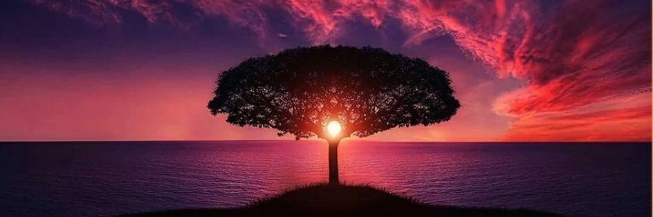 WRobeyns's profile banner image
