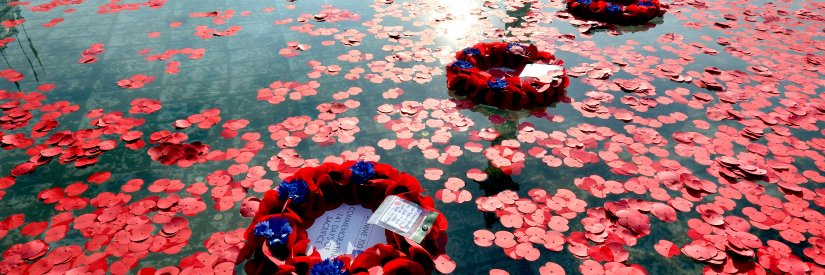 Reflections1418 banner